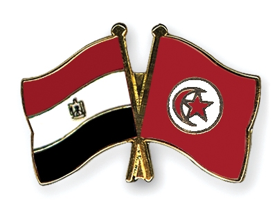 Fahnen Pins gypten Tunesien