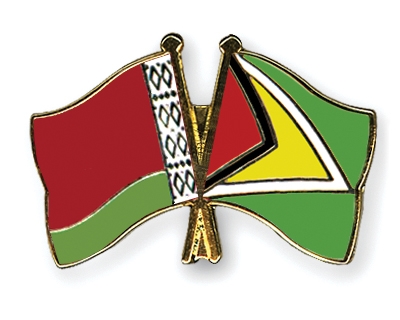 Fahnen Pins Belarus Guyana