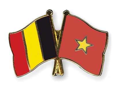 Fahnen Pins Belgien Vietnam