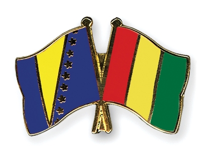 Fahnen Pins Bosnien-und-Herzegowina Guinea