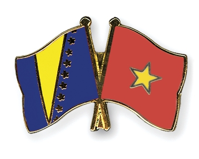 Fahnen Pins Bosnien-und-Herzegowina Vietnam