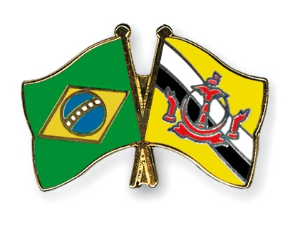 Fahnen Pins Brasilien Brunei-Darussalam