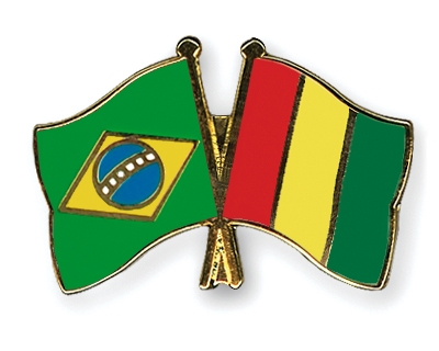 Fahnen Pins Brasilien Guinea