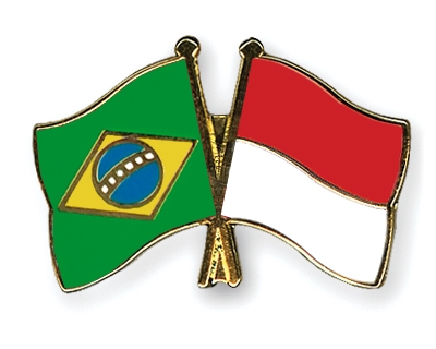 Fahnen Pins Brasilien Indonesien