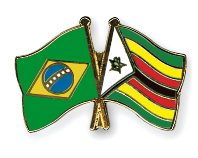 Fahnen Pins Brasilien Simbabwe