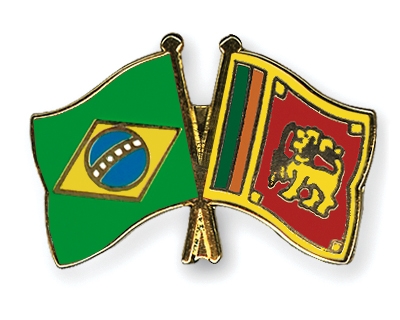 Fahnen Pins Brasilien Sri-Lanka
