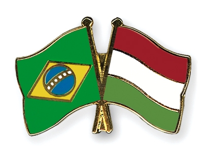 Fahnen Pins Brasilien Ungarn