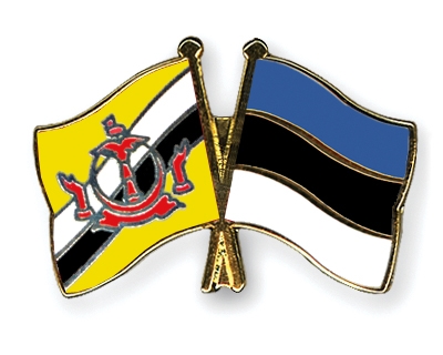 Fahnen Pins Brunei-Darussalam Estland