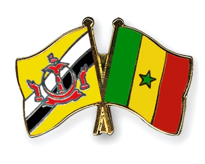 Fahnen Pins Brunei-Darussalam Senegal
