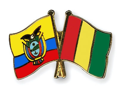 Fahnen Pins Ecuador Guinea