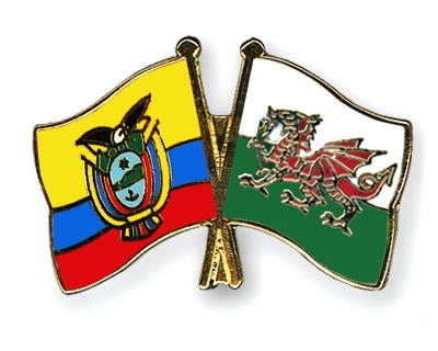 Fahnen Pins Ecuador Wales