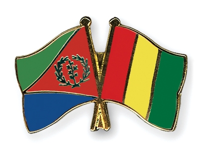 Fahnen Pins Eritrea Guinea