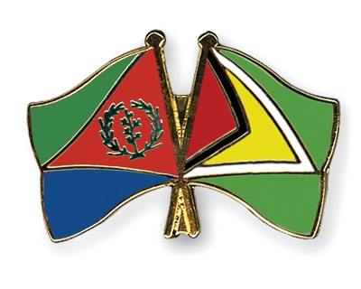 Fahnen Pins Eritrea Guyana