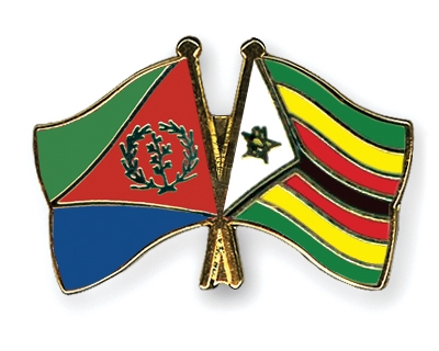 Fahnen Pins Eritrea Simbabwe