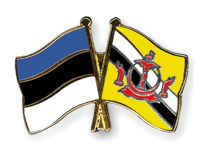 Fahnen Pins Estland Brunei-Darussalam
