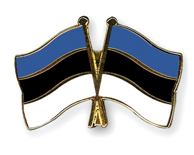 Fahnen Pins Estland Estland