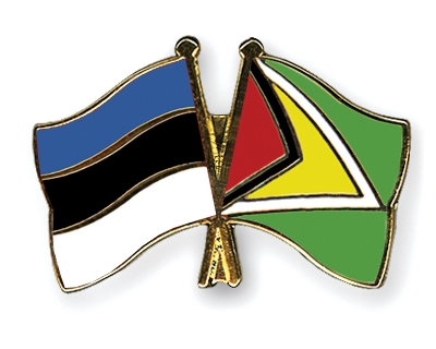 Fahnen Pins Estland Guyana