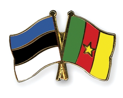 Fahnen Pins Estland Kamerun