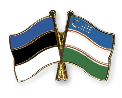 Fahnen Pins Estland Usbekistan