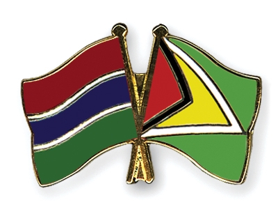 Fahnen Pins Gambia Guyana