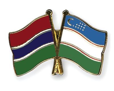 Fahnen Pins Gambia Usbekistan