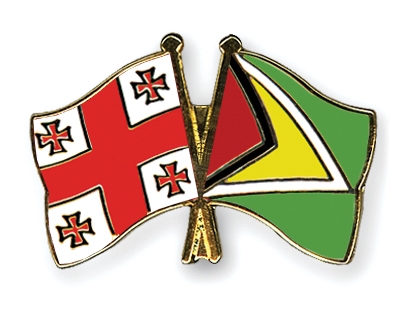 Fahnen Pins Georgien Guyana