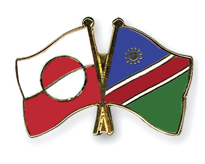 Fahnen Pins Grnland Namibia