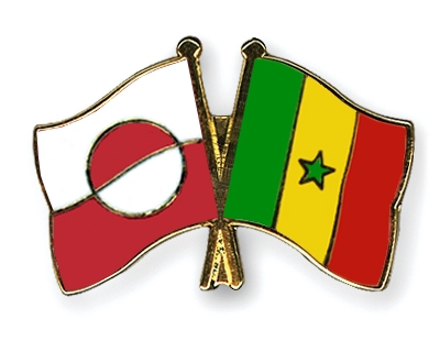 Fahnen Pins Grnland Senegal