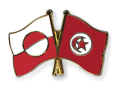Fahnen Pins Grnland Tunesien