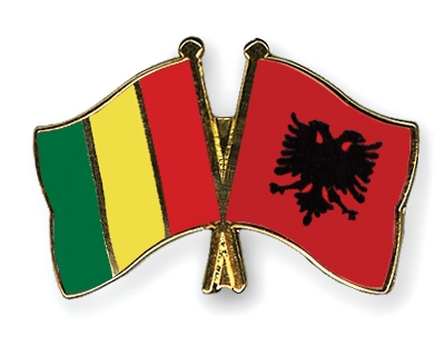 Fahnen Pins Guinea Albanien