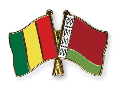 Fahnen Pins Guinea Belarus