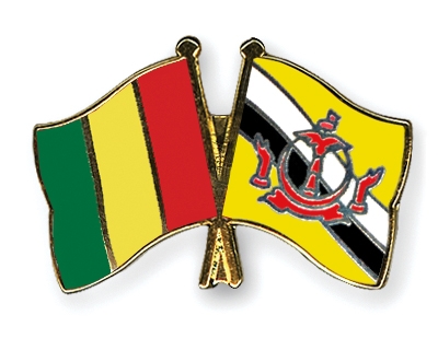 Fahnen Pins Guinea Brunei-Darussalam