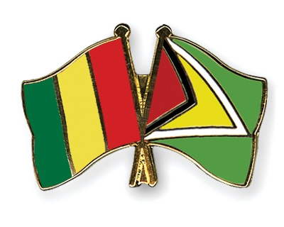 Fahnen Pins Guinea Guyana