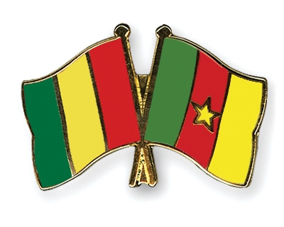 Fahnen Pins Guinea Kamerun