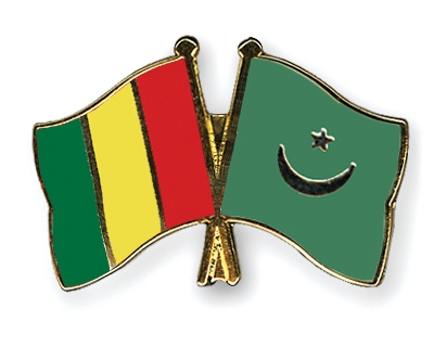 Fahnen Pins Guinea Mauretanien