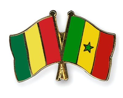 Fahnen Pins Guinea Senegal