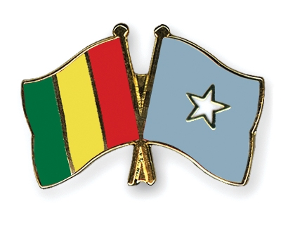 Fahnen Pins Guinea Somalia