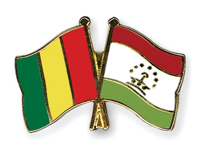 Fahnen Pins Guinea Tadschikistan