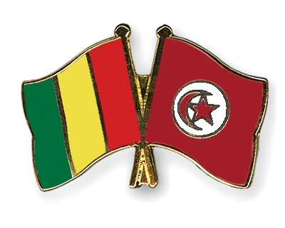 Fahnen Pins Guinea Tunesien