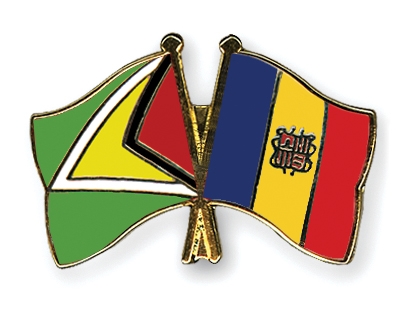 Fahnen Pins Guyana Andorra