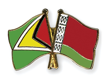 Fahnen Pins Guyana Belarus