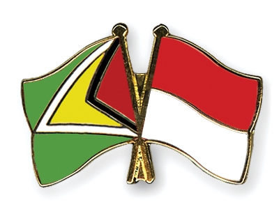 Fahnen Pins Guyana Indonesien