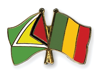 Fahnen Pins Guyana Mali