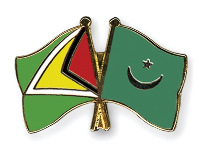 Fahnen Pins Guyana Mauretanien