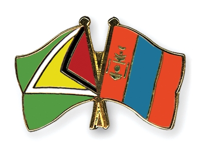 Fahnen Pins Guyana Mongolei