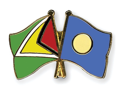 Fahnen Pins Guyana Palau