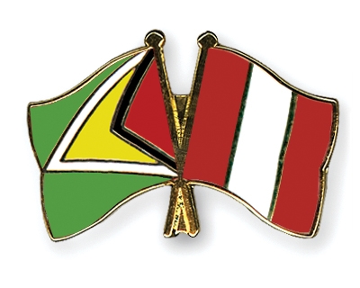 Fahnen Pins Guyana Peru