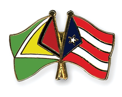 Fahnen Pins Guyana Puerto-Rico