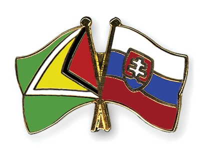 Fahnen Pins Guyana Slowakei