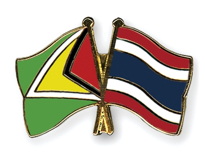 Fahnen Pins Guyana Thailand